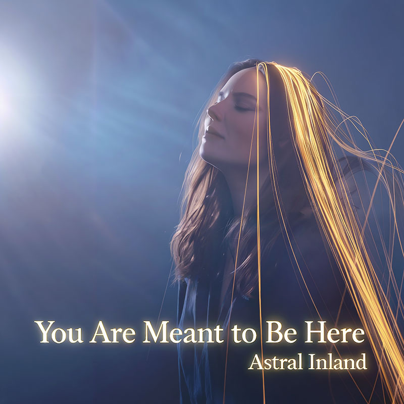 Cover van het album You Are Meant to Be Here